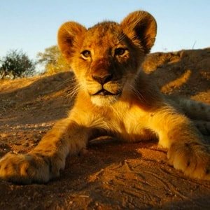 dating site beoordelingen Australië