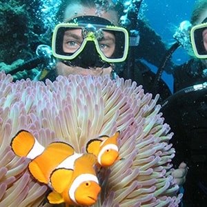 Volunteer in Scuba Diving
                                                                    | Programs, Guidance & Reviews