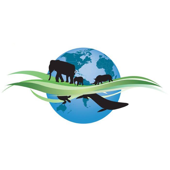 ▷ Wildlife Shelter Carer | Volunteer in Australia 2023 ▷ Wildlife Shelter Carer | Volunteer in Australia 2023