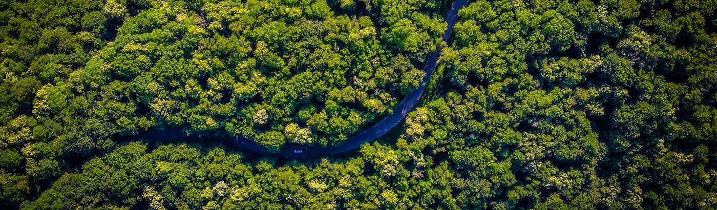 Amazon Rainforest Volunteer Top 10 Projects 21 Volunteer World Amazon Rainforest Volunteer Top 10 Projects 21 Volunteer World