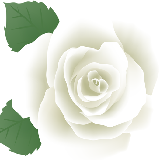 ▷ The White Rose | Volunteer Abroad 2023 | Volunteer World ▷ The White Rose | Volunteer Abroad 2023 | Volunteer World