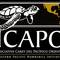ICAPO